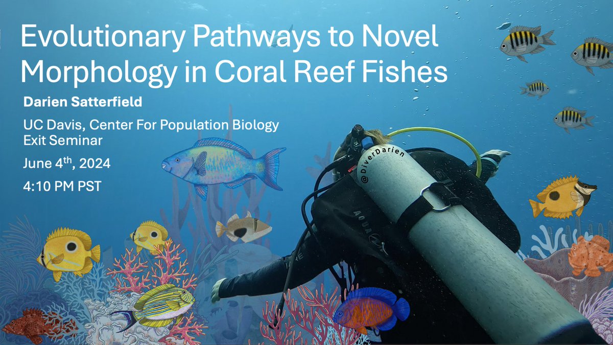 My dissertation defense (or exit seminar at UCD) is one month from today! I would love for you to join us to hear all about reef fish morphological diversity and the evolutionary routes reef fish take to reach the strangest morphologies. zoom link: ucdavis.zoom.us/j/98185054953?…