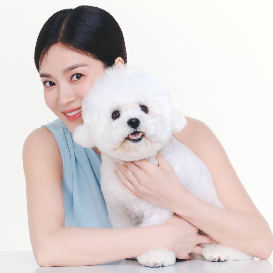 nmdarhwang's tweet photo. MY LOVE
#SongHyeKyo
#SongRuby
She heard us cryin for HD pictures and here they are https://t.co/17AiPo4HLu