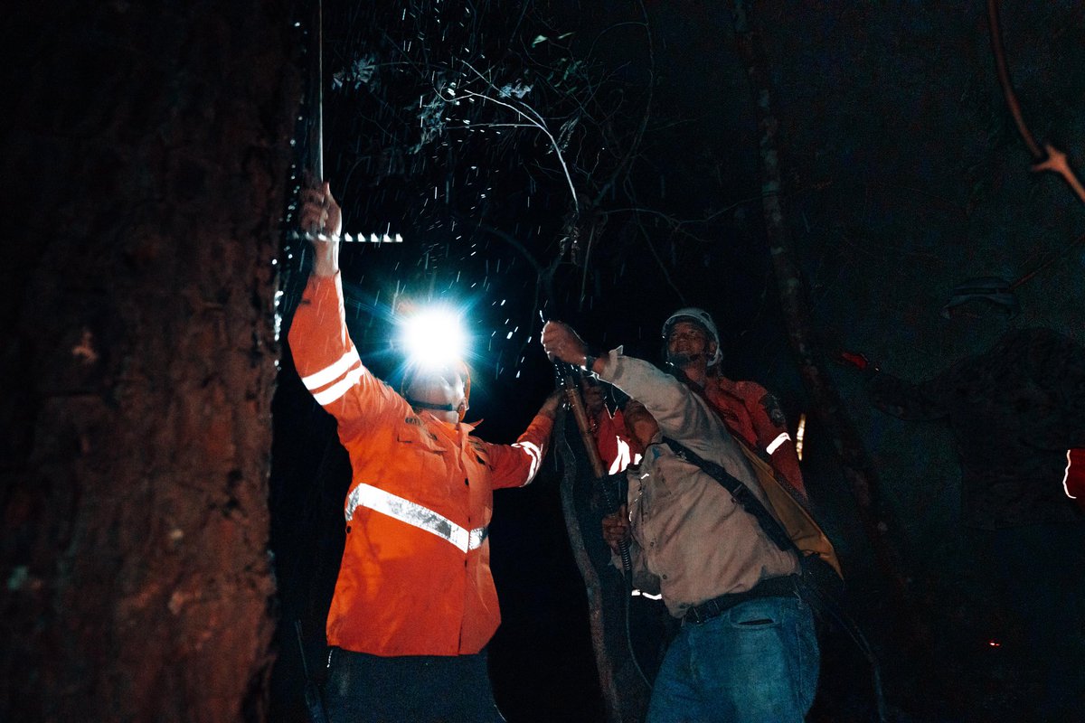 En el Día Internacional del Combate de Incendios Forestales, reafirmamos nuestro compromiso en la prevención y combate de estos desastres. Trabajamos de manera articulada para la protección de nuestras Áreas Naturales Protegidas y preservar estos espacios para las futuras…