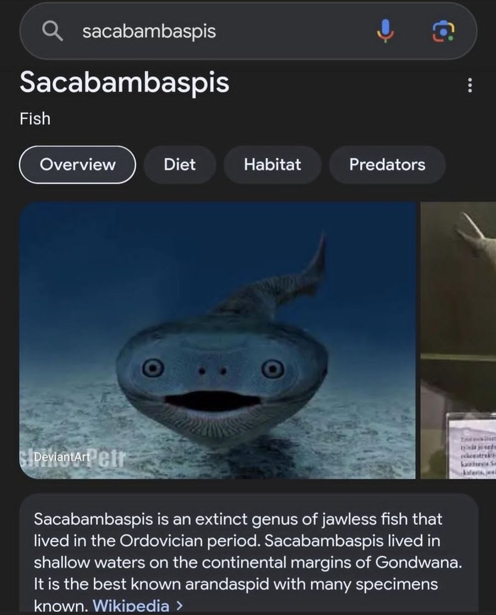 thinking about beloved sacabambaspis