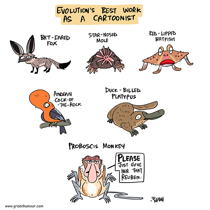 A very happy Cartoonists’ Day to all my fellow cartoonists, and lovers of the art! Cartoon from my column with @TheHinduMag thehindu.com/sci-tech/energ… Subscribe to my newsletter on greenhumour.substack.com #cartoonistsday #cartoons #evolution #wildlife