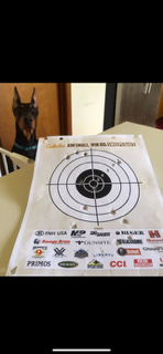 RocketLPcaseohs's tweet photo. Putting in a little target practice, applying for a new job with the force. #Pawscrossed (I don't have fingers)  @Tomcustomercase https://t.co/q8VVdzMVwZ