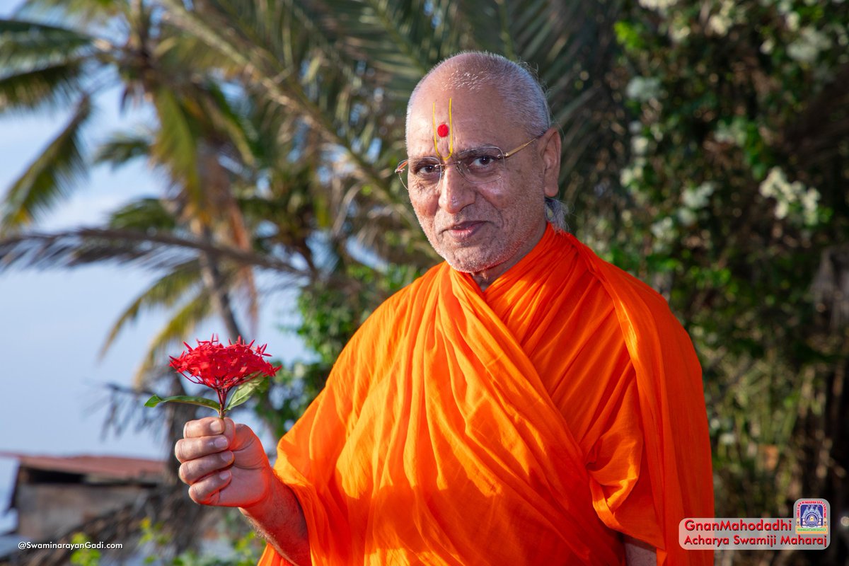 Divine darshan of our beloved #GnanMahodadhi Acharya Shree Jitendriyapriyadasji Swamiji Maharaj. #AcharyaSwamijiMaharaj #SwaminarayanGadi #ManinagarMandir