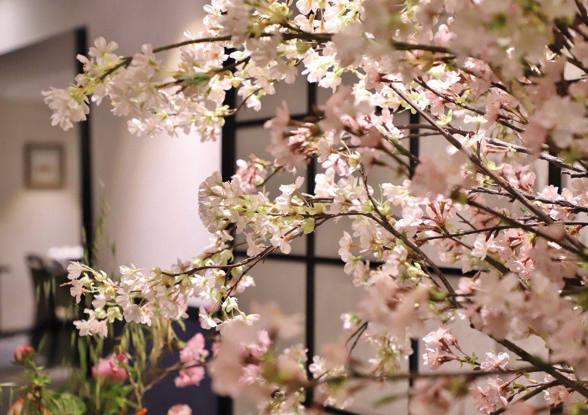 ANA クラウンプラザホテル 札幌
お花見ランチ🍴🌸

“和”ンプレートランチ『彩り膳』
桜を愛でながら
なんとも美しい一皿(´▽｀)

#北海道 #札幌 #桜 #グルメ
#ANACP札幌お花見
#キリトリセカイ #a_krphoto