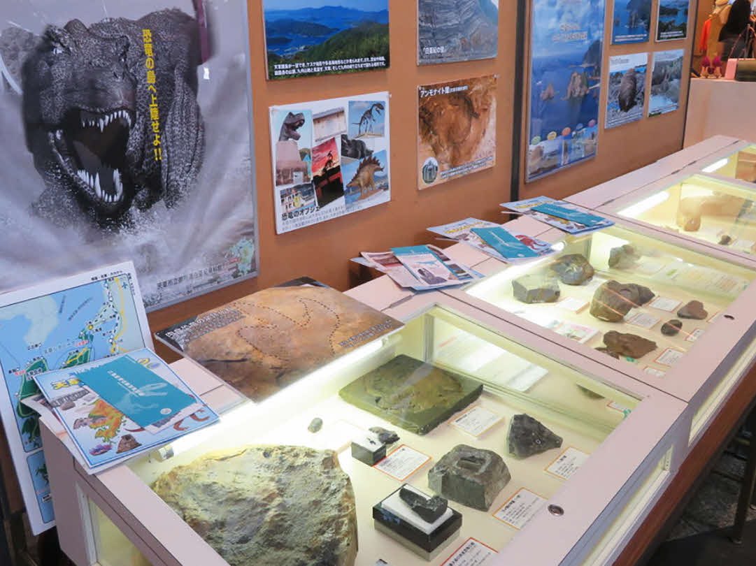 5/12地質の日イベント@水俣　出展紹介③
【御所浦恐竜の島博物館】
御所浦恐竜の島博物館からは、天草地域から発見されている恐竜やアンモナイト、貝などの天草の化石のほか、海外の恐竜に関する展示を行います。天草の化石を使ったゴム型レプリカづくり体験も楽しめます！
#地質の日
#化石
#レプリカ