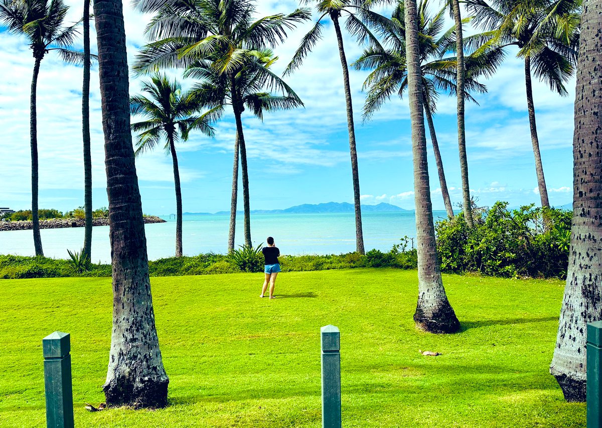 Michelle Bellingan tweet media