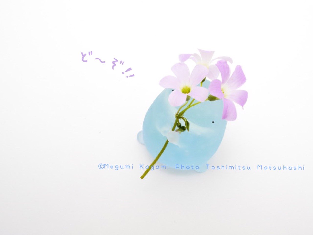ひげくじら 加々美萌様作 ガラス作品 ハンドメイド 作家 おとも 鯨 ひげくじら 加々美萌様作 ガラス作品 ハンドメイド 作家 おとも