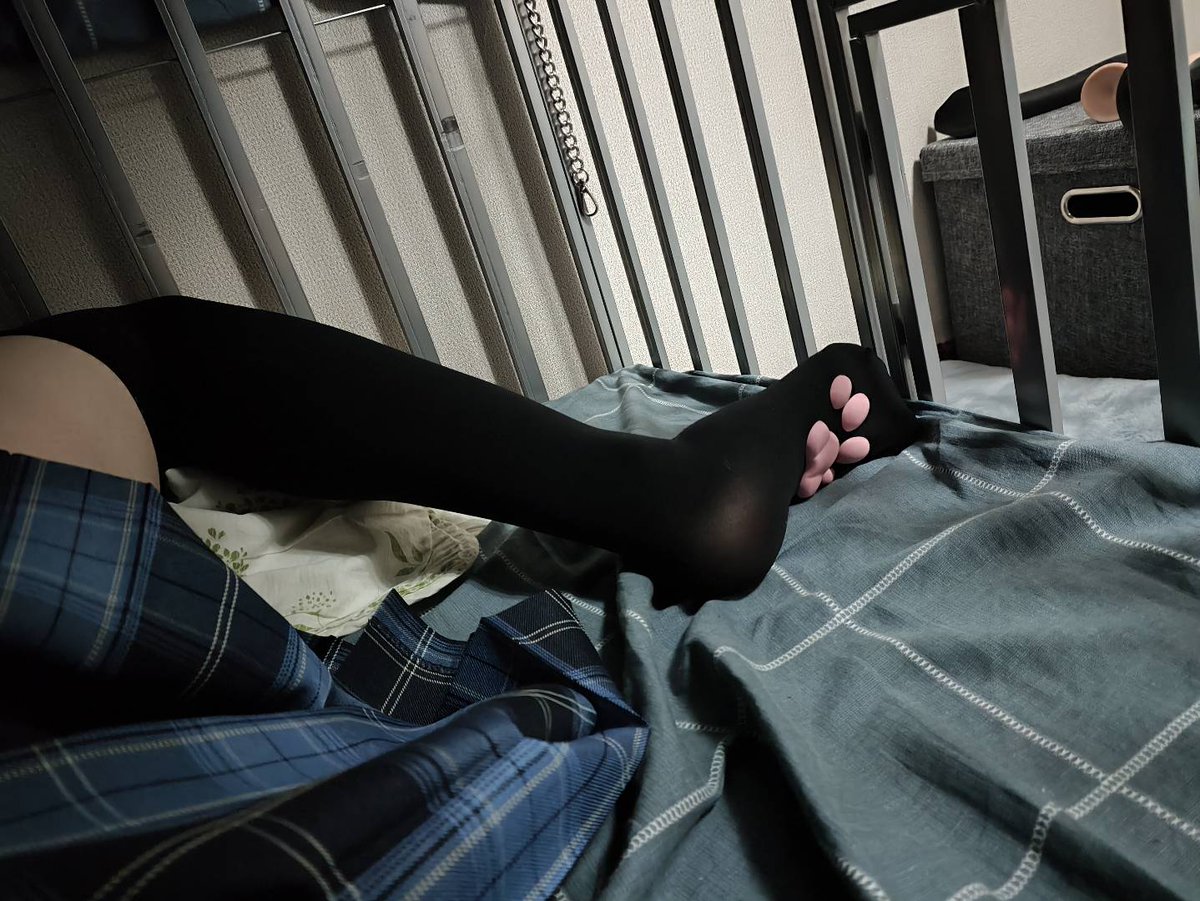 小猫猫进笼子里就变乖了🥰