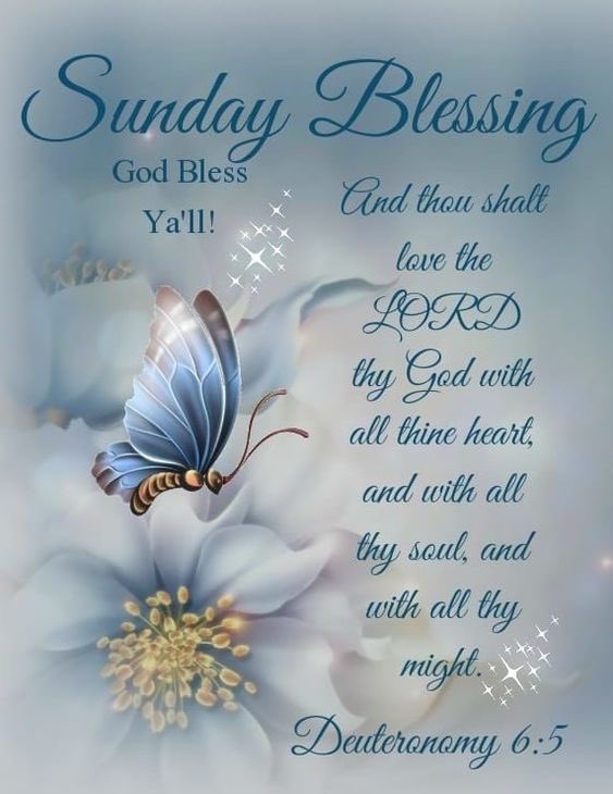 #SundayBlessings #TwitterFriends 

💙Have A Glorious Sunday!