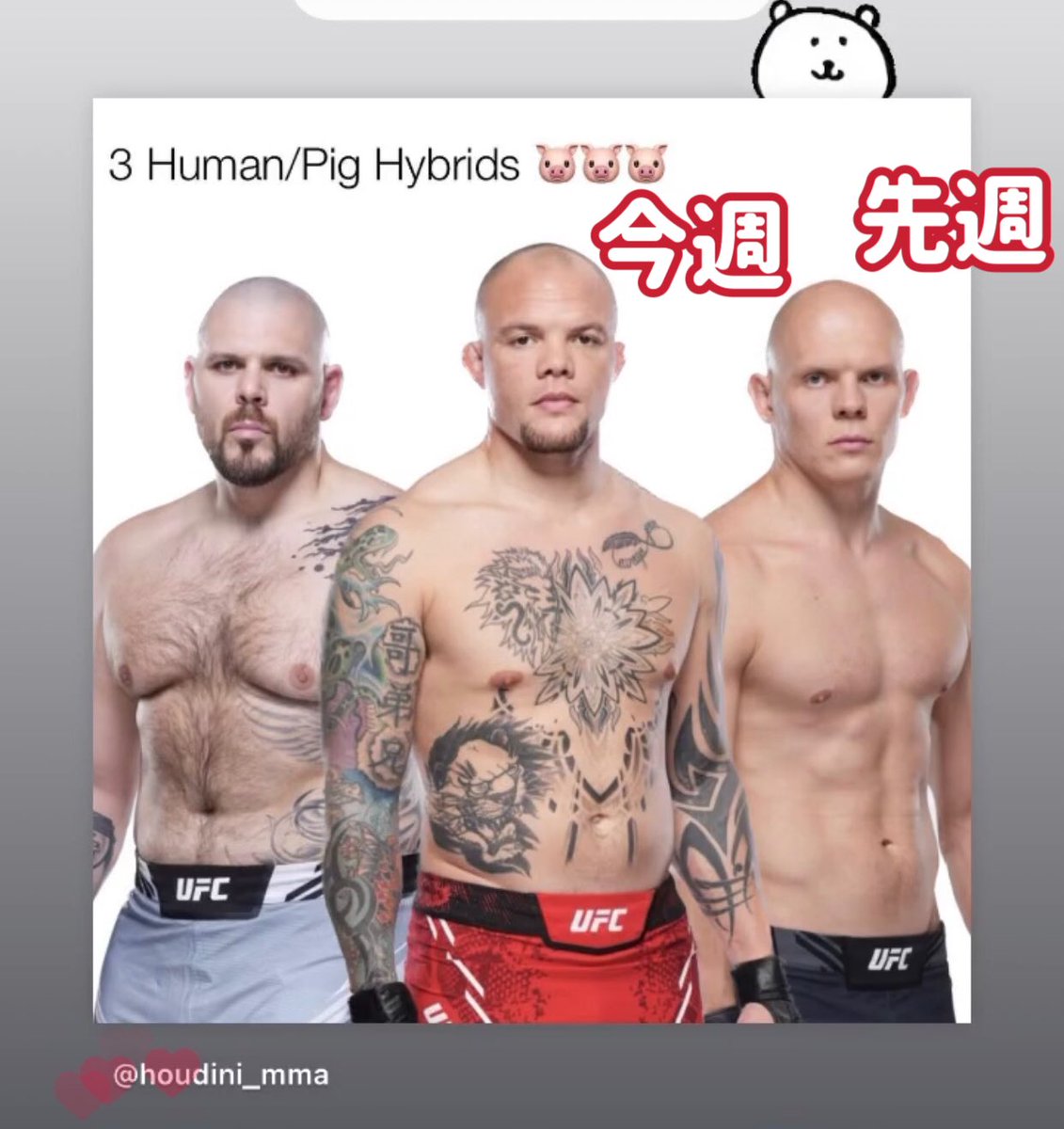 #UFCVegas91 先週
#UFC301 今週

次は左の人が勝つかもしれない……ってコト⁉️😉