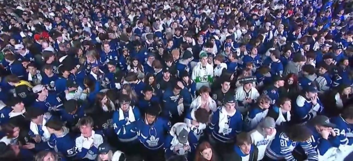 Live Toronto fan cam reaction