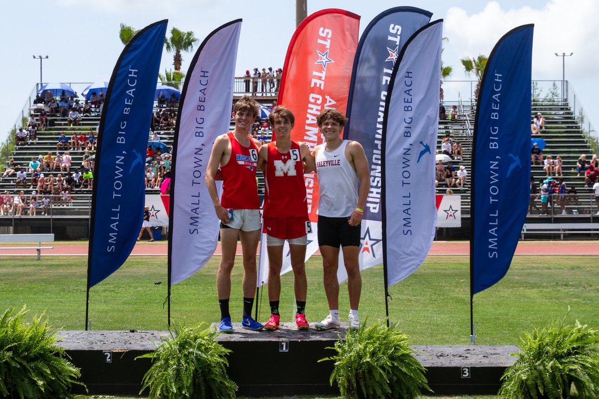 Stephan Frank tweet media