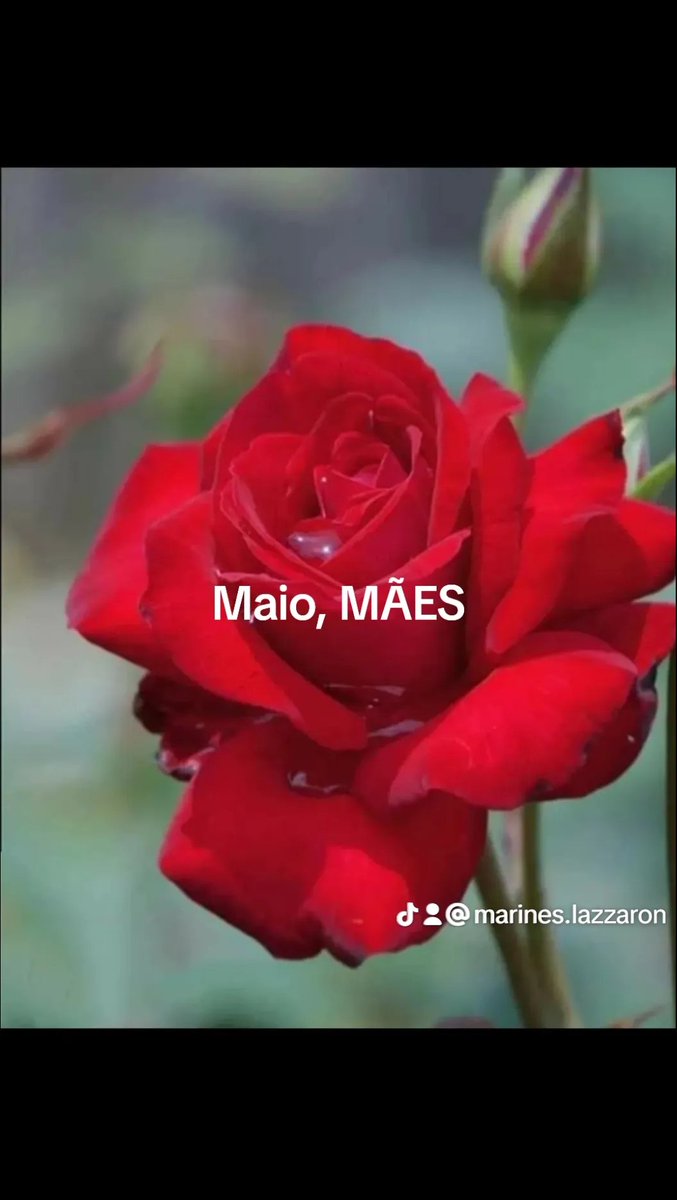 @bethonira @Dry_ie @MaluNogueiraPT @borgescm @WilmarPetista @InesNasciment12 @PradoEimar @binha1954 @andr67272991 @Alice_inland13 @REGINAR63449157 @Cavalheira @Liz6macielgmai1 @JoanadaPaz @parasamuel @ptbrasil @MulheresPT @LulaPTnosTrends @josehenriquefb @JosDonizettiVi3 @ReginaMoura134 @CarmemRosaAndr1 @solimarcarlosd1 @rennanramires4 @FelipeOliv72501 @danielkrups @LulaOficial @Haddad_Fernando @zeca_dirceu @STF_oficial @gilmarmendes @LRobertoBarroso @alexandre @nunesmarquesk @MinAMendonca @Cristianozaninm @FlavioDino 👏👏👏👏👏👏👏👏👏❤️❤️❤️❤️