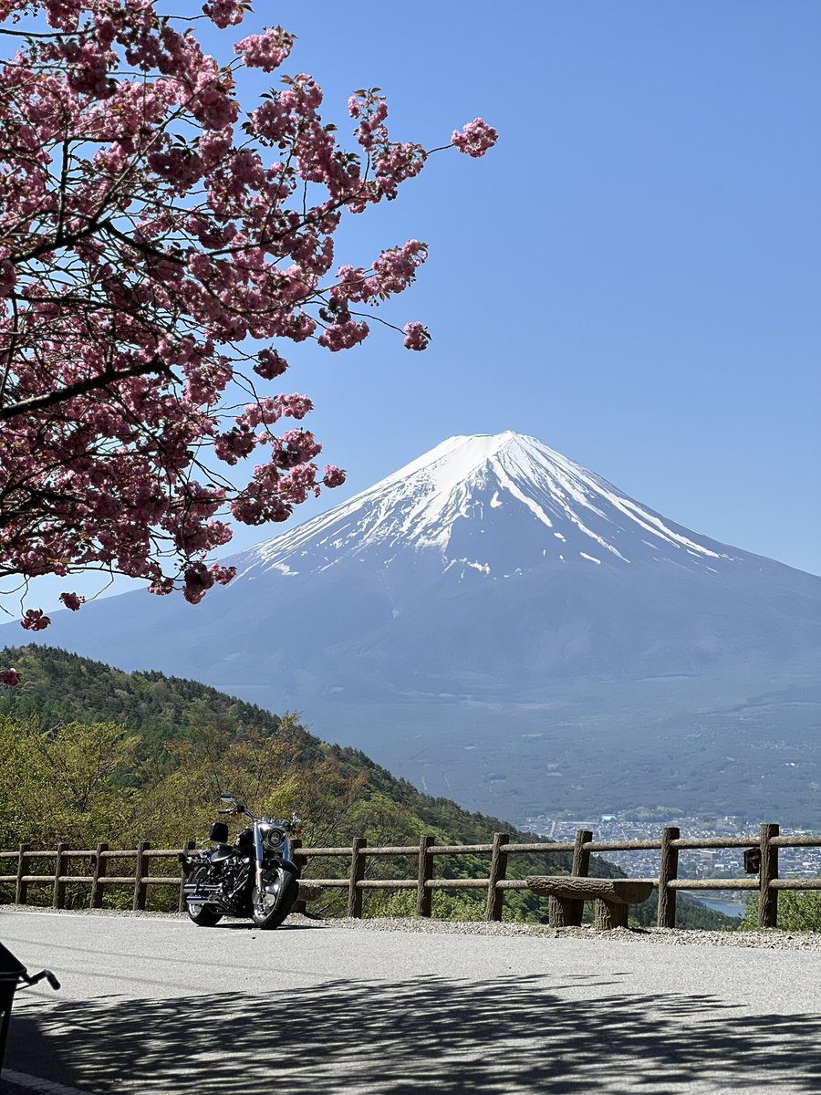 素晴らしすぎる景色だったので長居してしまい予定帰宅時間を大幅にオーバー
そのせいで高速の渋滞に巻き込まれながら帰宅中…

 #ファットボーイ 
 #ハーレーダビッドソン 
 #山梨の天下茶屋
 #バイクのある生活