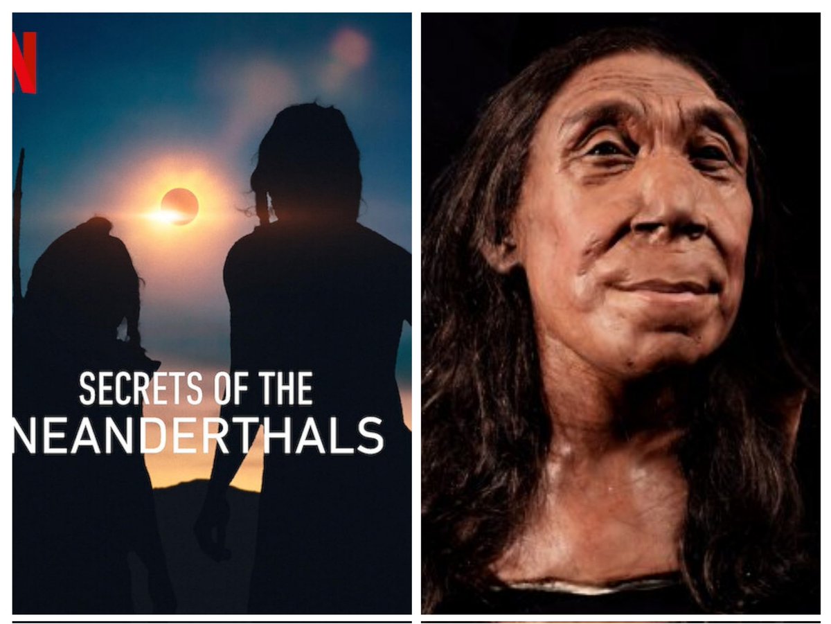 #SecretsoftheNeanderthals in #Netflix. Are they barbarians as many have been made to think? Is there anything we humans can learn from their sudden disappearance 40,000 years ago? Interesting & thought provoking documentary.