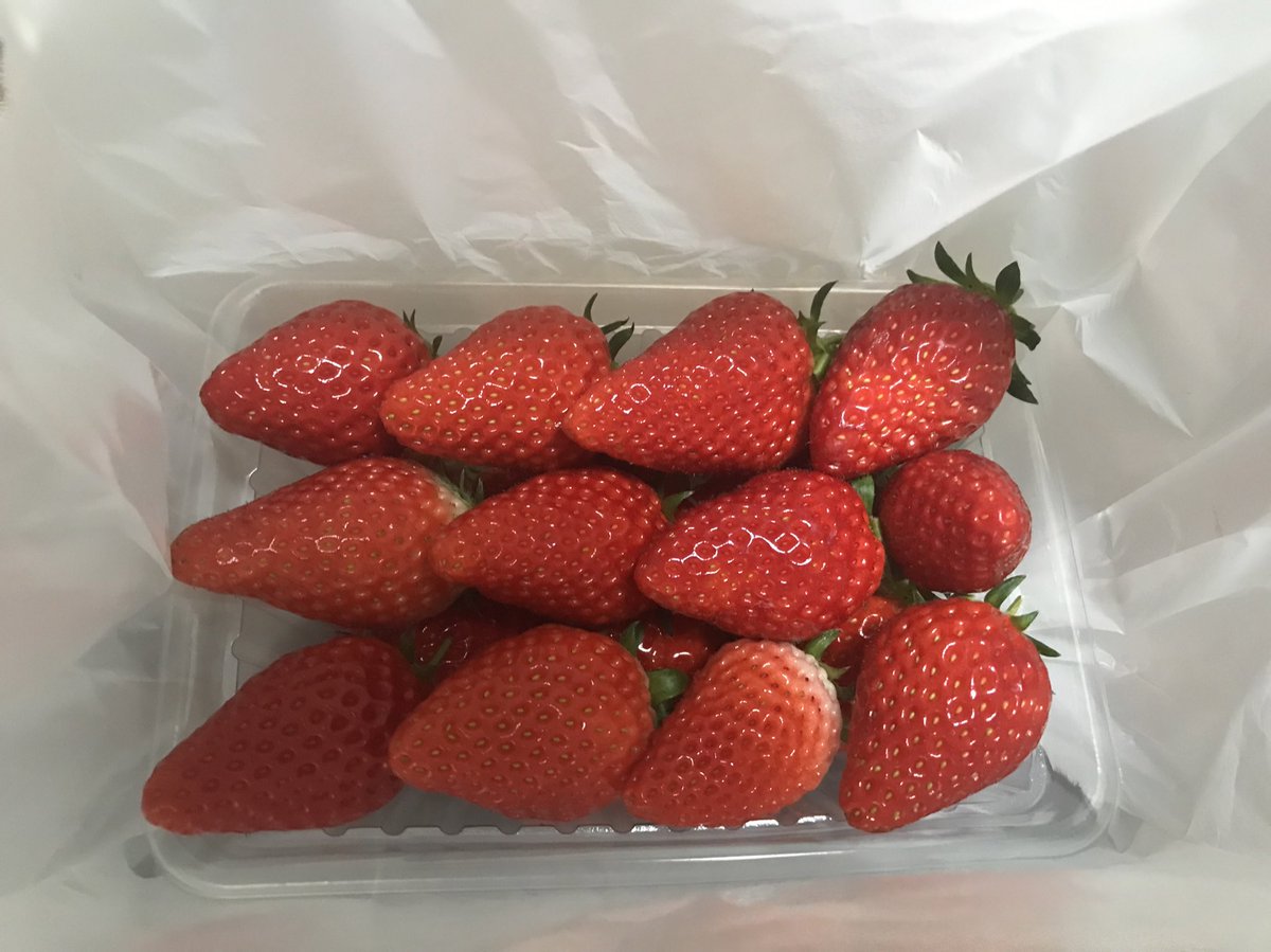 まーた苺もらっちゃったw
今年めちゃ食べてるんですけど🍓