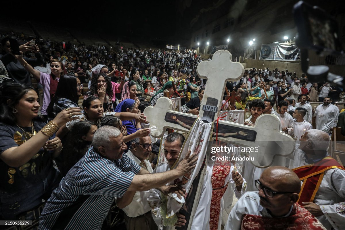 Mohamed El-Shahed tweet media