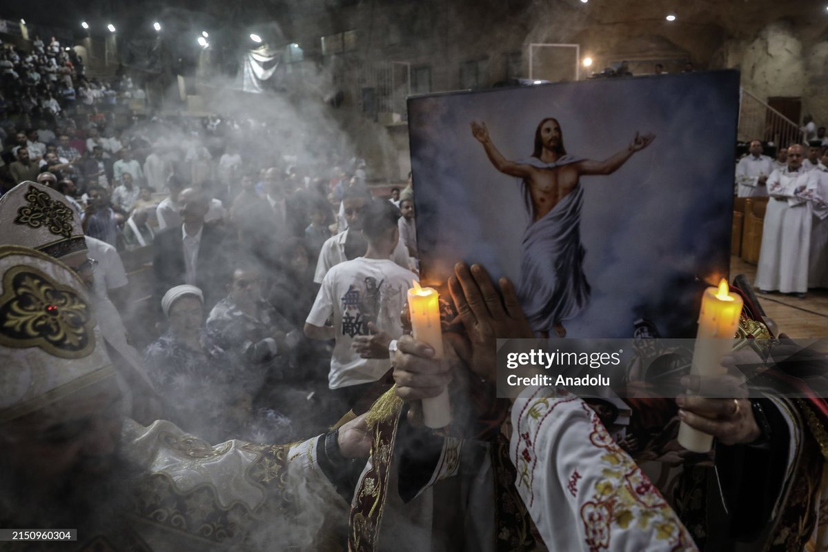 Mohamed El-Shahed tweet media