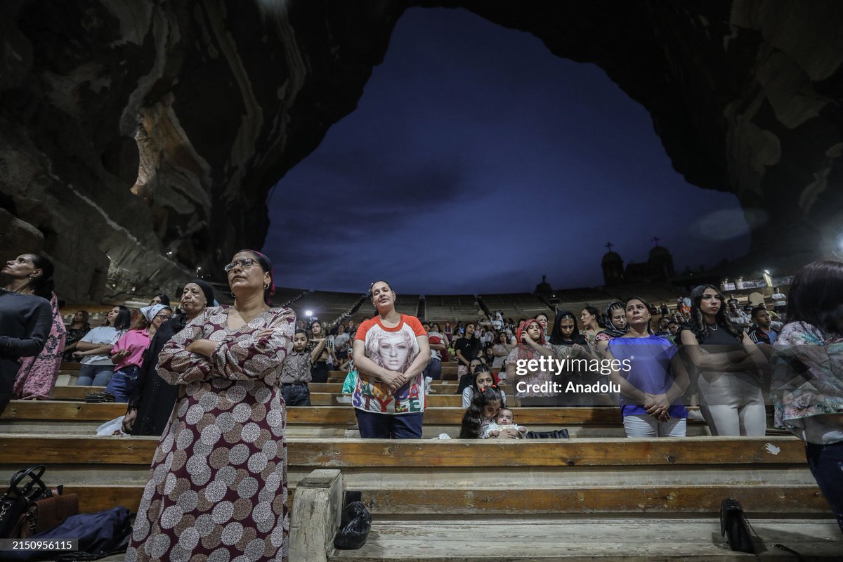 Mohamed El-Shahed tweet media