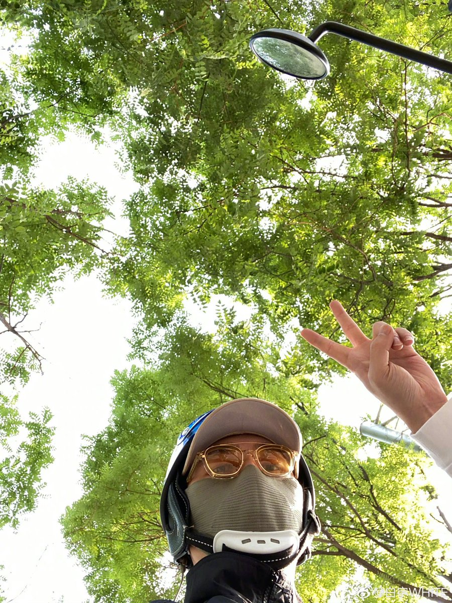 petals_fall's tweet photo. 배추 웨이보 업! 바이크 타고 놀러갔니ㅋㅋ https://t.co/HTl0dkKh11