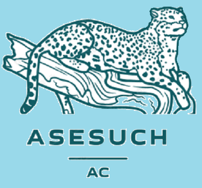 ASESUCH's tweet photo. nuestras nuevas campañas 2024 quienes gusten ser nuestros nuevos patrocinadores y colaboradores de empresas nacionales e internacionales de igual forma quienes gusten afiliarse para recibir nuestros apoyos contacta nuestro correo asesuch@live.com.mx y recuerden #juntoshastalacima https://t.co/NadNp52W11