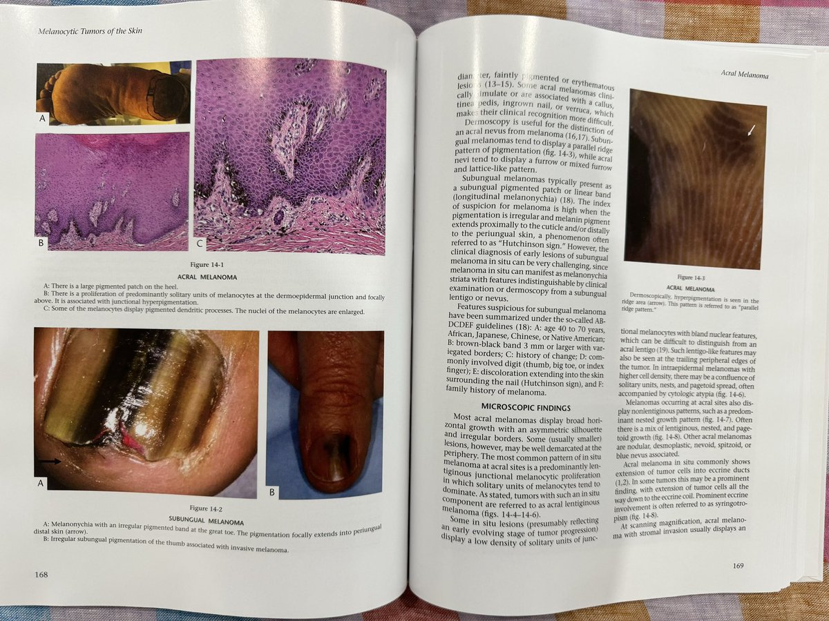 Professor Richard Scolyer AO tweet media