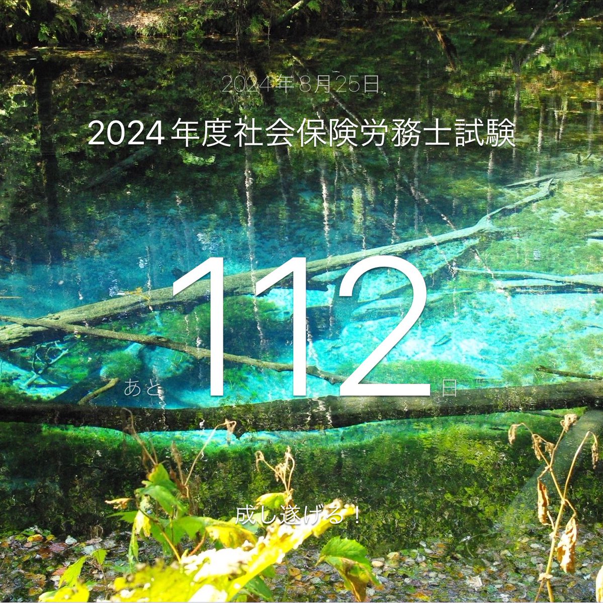 おはようございます☀️

#シャロ勉合宿 5日目
進捗は716/1000問。

なんとか1000問はクリアできそう。
だいぶスパルタだった…
残りも頑張る！

🔥トレ問･ツボ･過去問ランド：厚生年金/国民年金
🔥テキスト読み：徴収法

#社労士24  #9フレーム #8エレメント #社労士試験