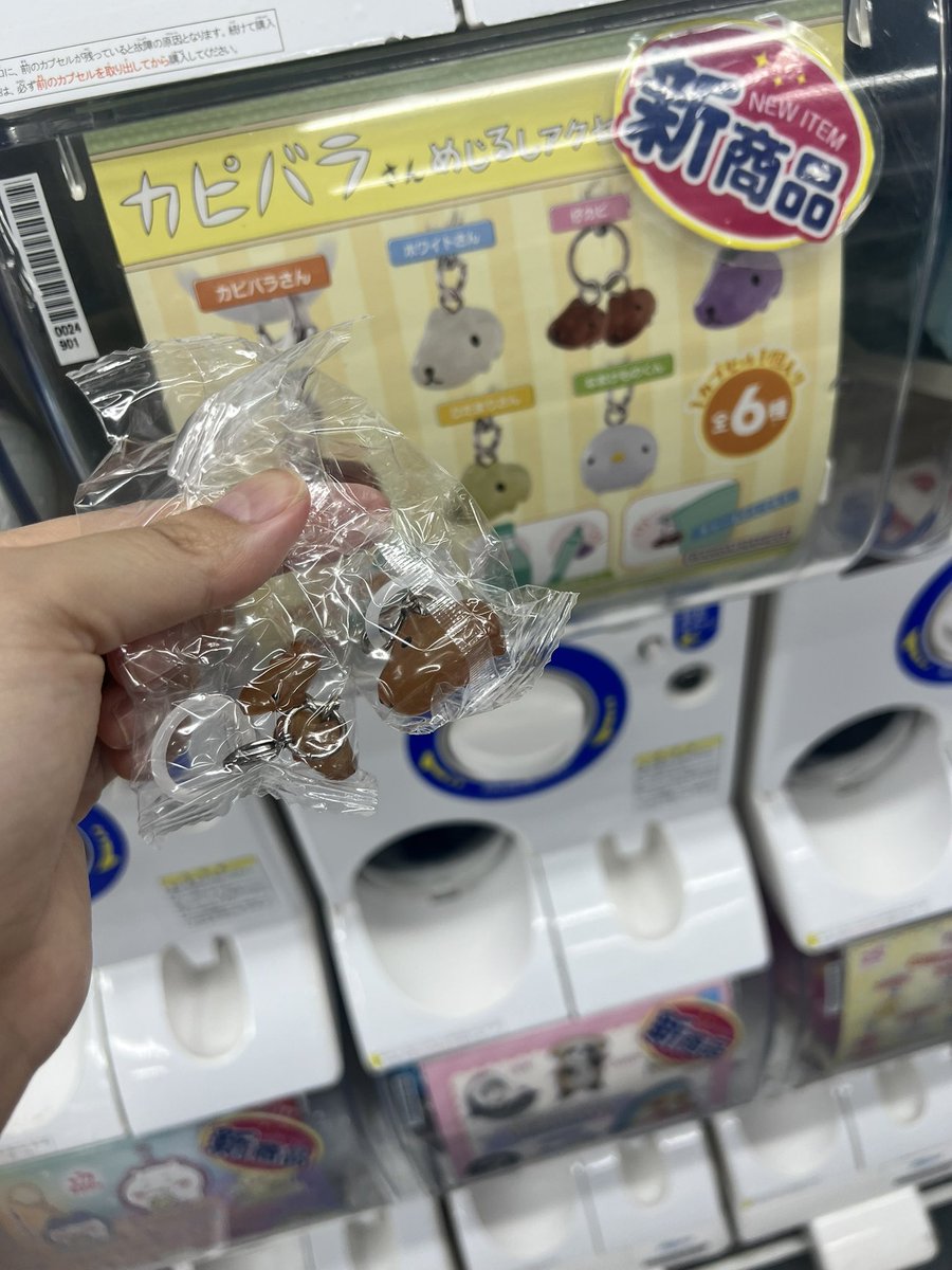 吉祥寺にあった🤎
#カピバラさん