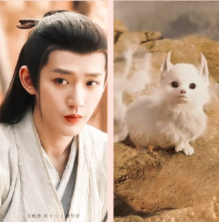 #30DayswithDengWei   DAY 26

Which animal reminds you of #DengWei 

The cute Fox naturally . They have the same eyes😁

  #邓为