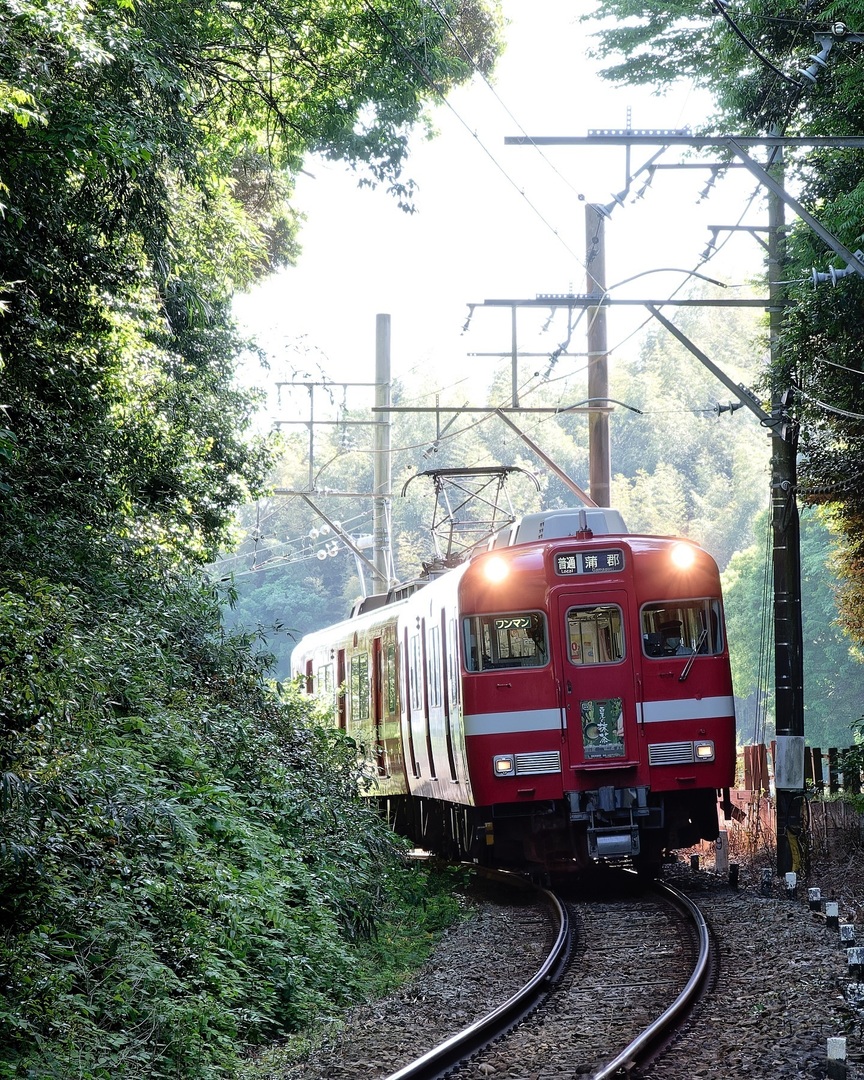 蚊に襲われながら

#鉄道写真 #鉄道風景 #鉄道のある風景
#japanphoto #japantrain #traingallery_ig #japantravel