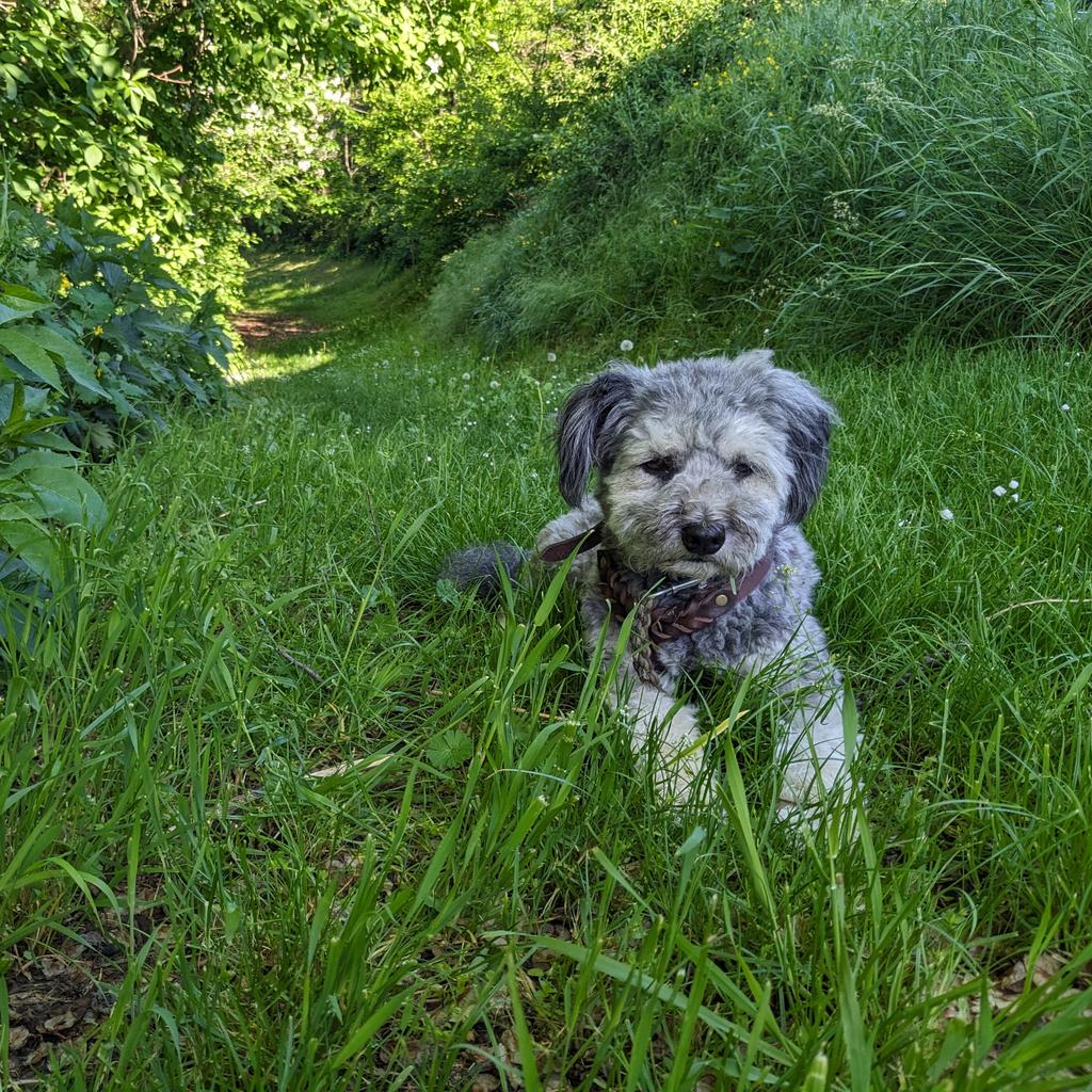 #NeuesProfilfoto
Also, meinetwegen können wir hier noch ein Weilchen bleiben.