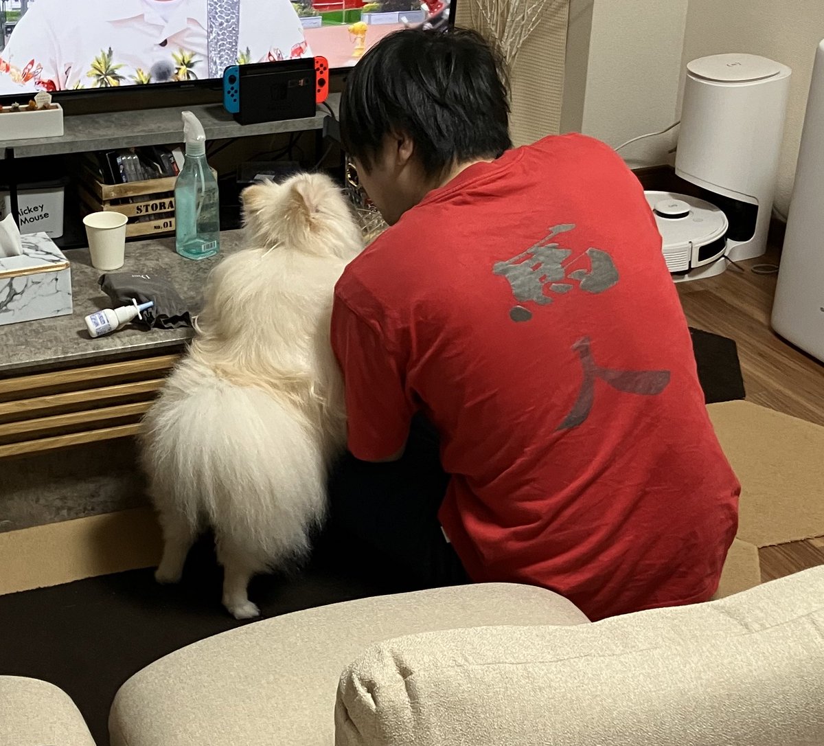 Pwl7T's tweet photo. 何か二人でこそこそ話して交渉成立したようです👨🤝🐶

#犬　#ポメラニアン https://t.co/DQ1H9lT6sp