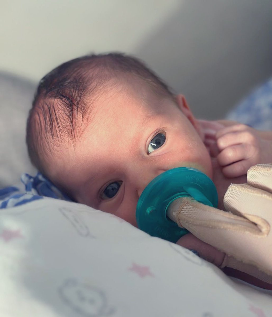 🤍daniela tweet media