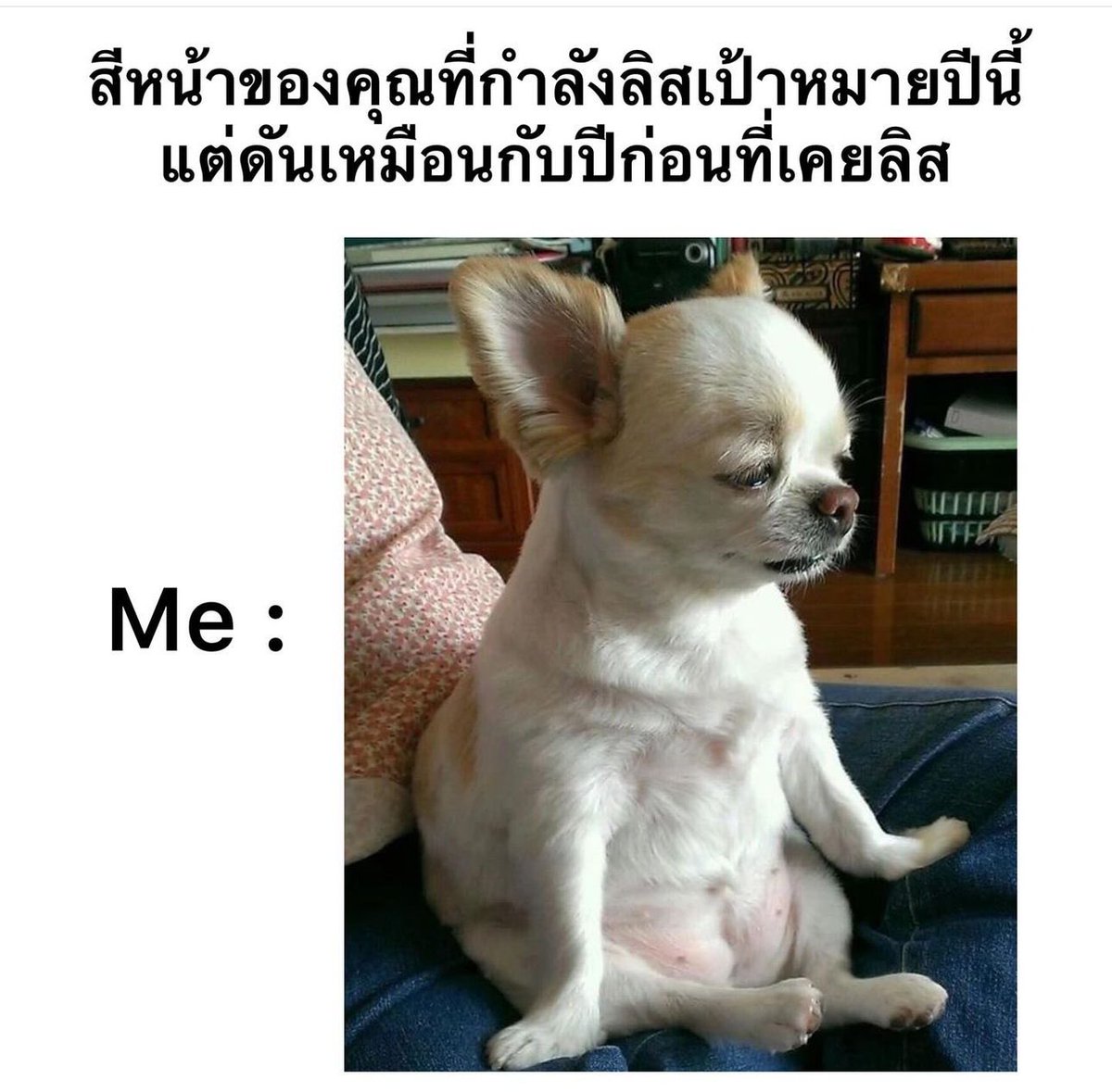 จะปีนี้ ปีไหนก็ไม่ได้ทำ 55555555555555555555555555
