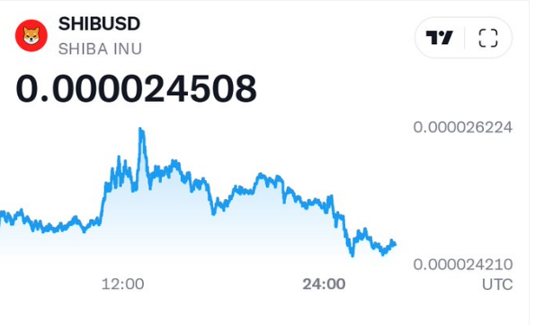 shibainu tweet media