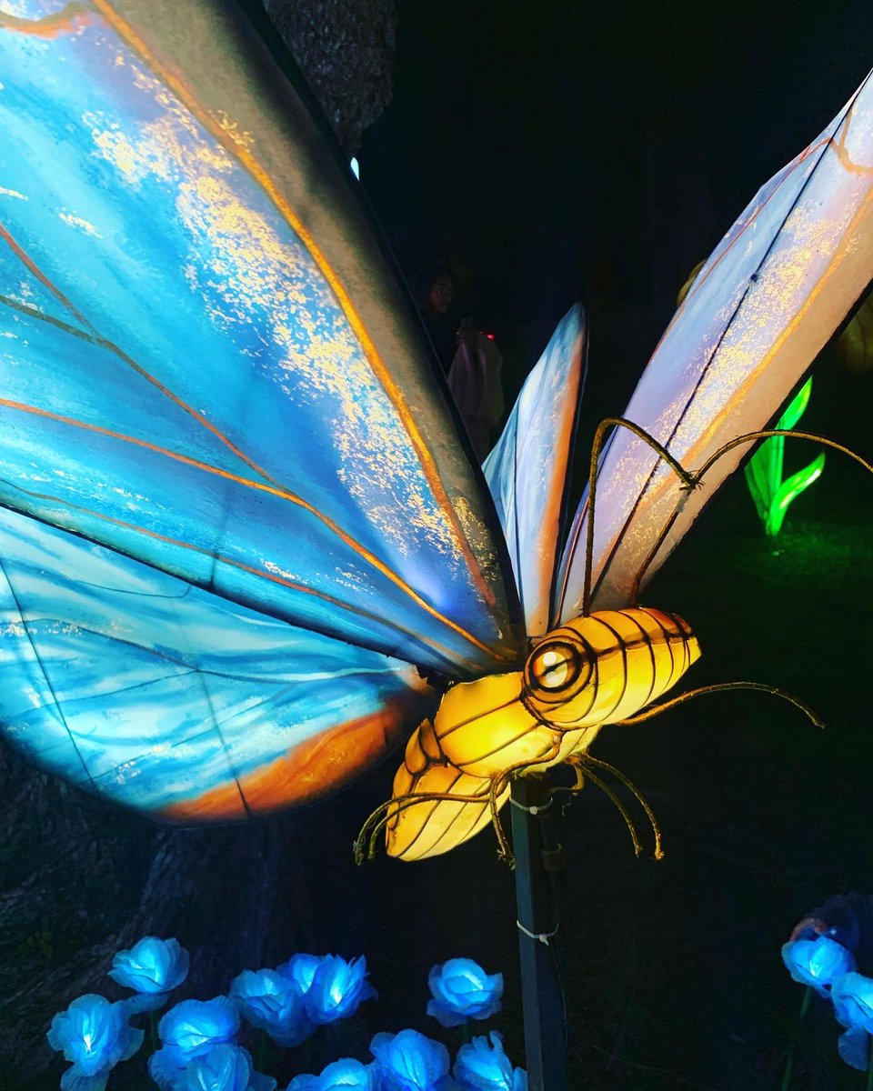 Dadmissions's tweet image. yehhhhh welcome to opening weekend of the @lacountyfair