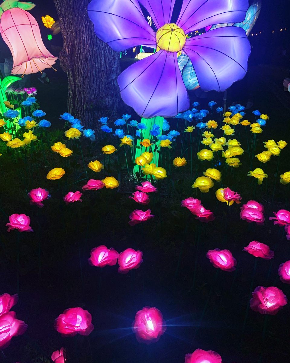 Dadmissions's tweet image. yehhhhh welcome to opening weekend of the @lacountyfair