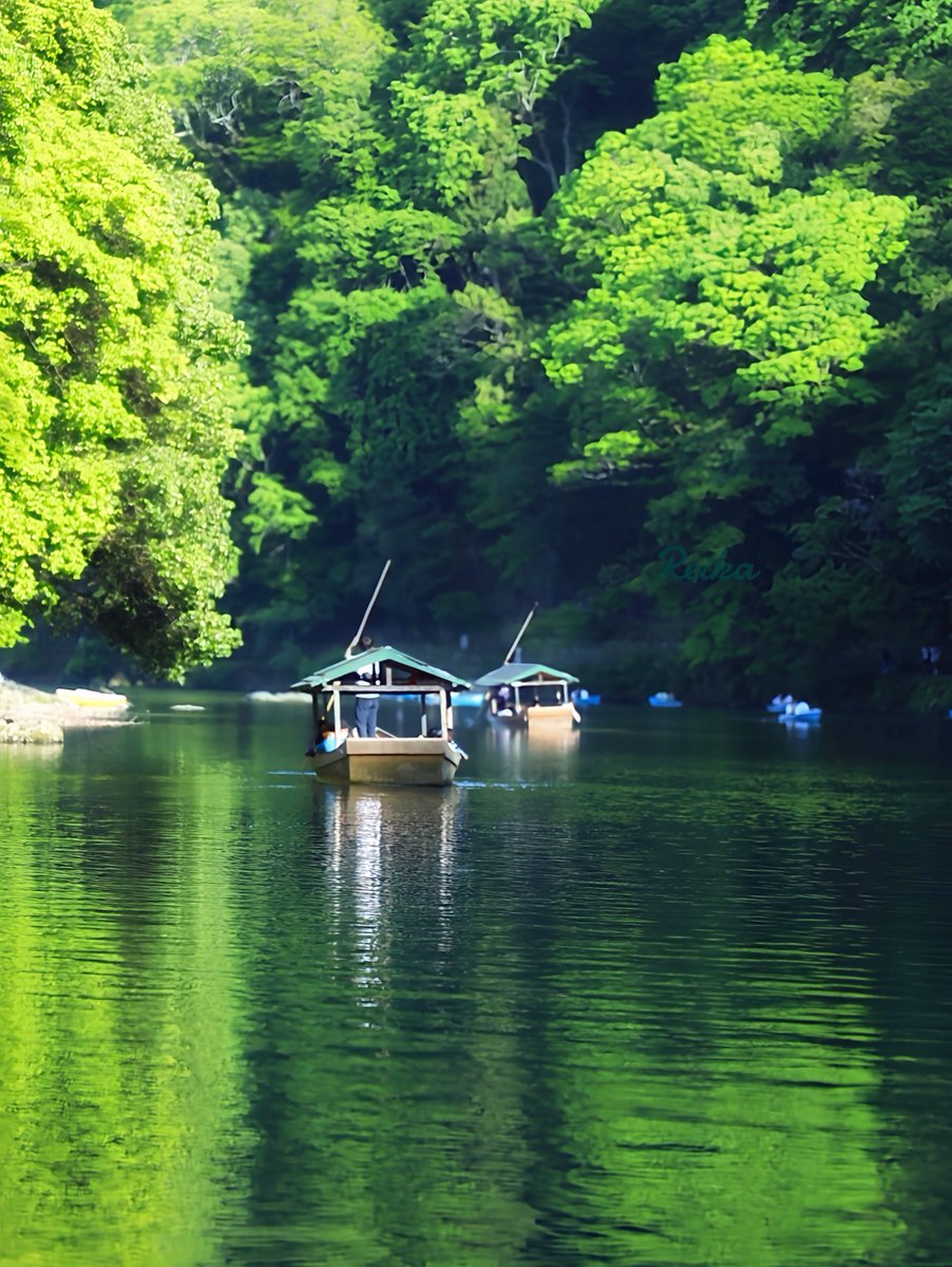緑翠の水鏡を行く 京都・保津川峡谷