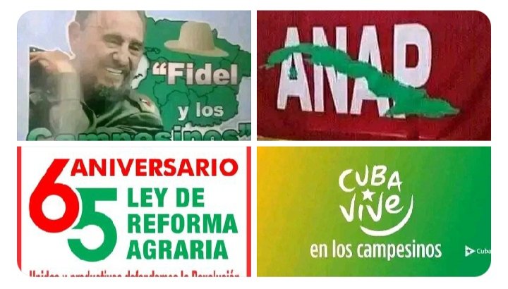 Rolando García @FelixDuarteOrte @DiazCanelB @DrRobertoMOjeda @yoel_palmero #AnapCuba campesinos y cooperativistas de Niquero, se desarrollan el acto por el día del campesino, fecha que estaremos celebrando el próximo 17 de Mayo.