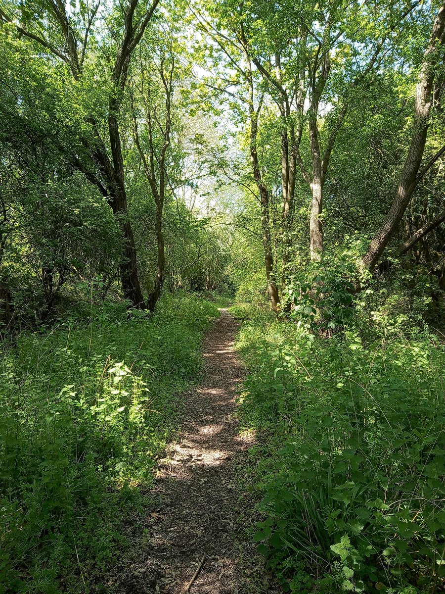 #BankHolidayWeekend Exploring Daventry and finding new and amazing places, including this secret #tarlietravels @lovedaventry @daventrytweets @DaventryMuseum @HealthWalk @northants #bankholidaywalk