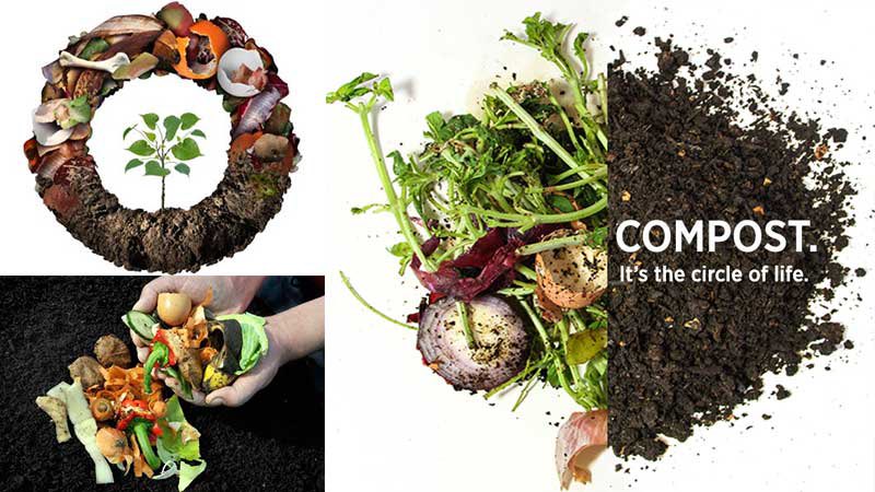 @cpsavesoil COMPOST: TURN FOOD WASTE INTO SOIL NUTRIENTS!
#SaveSoil #SaveSoilForClimateAction #Compost #EarthDay #OrganicWaste