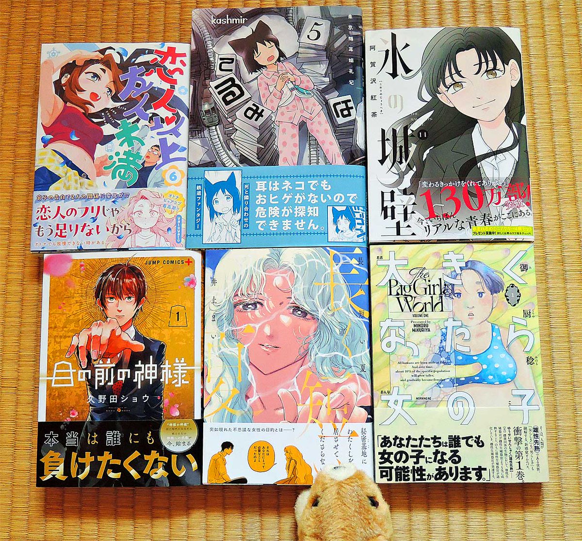 最近の収穫物🛒
井上まいさん「長く短い夏」単巻🎊
御厨稔さん「大きくなったら女の子」第1巻🆕🎉
久野田ショウさん「目の前の神様」第1巻🆕🎉
kashmirさん「てるみな」第5巻
yatoyatoさん「恋人以上友人未満」第6巻
阿賀沢紅茶さん「氷の城壁」第11巻