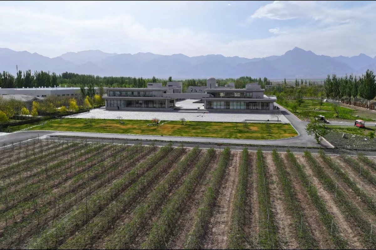 Sci-tech innovation empowers modern agricultural development in northwest China's Ningxia Hui Autonomous Region. Advanced glass greenhouses are synced with big data and IoT for smart farming, desalination techniques are being upgraded scientifically, and desert parks are being…