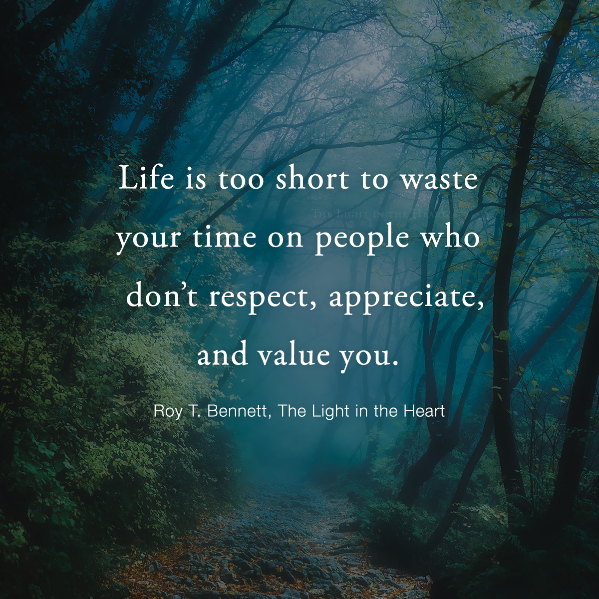 Life is too short to waste your time on people who don’t respect, appreciate, and value you.
Roy T. Bennett, The Light in the Heart
#motivation #Inspiration #quote #quotes #RoyTBennett