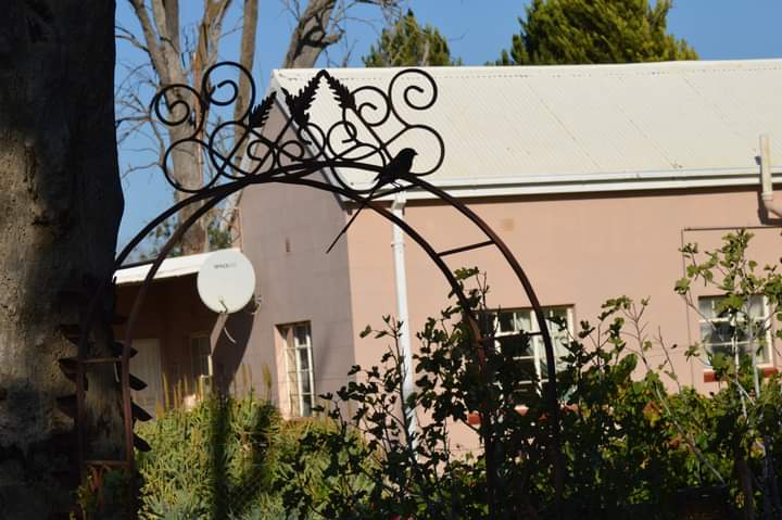 Early morning at Kameel 
Hennie created an entrance to our kitchen garden. The details are a delight for us and the birds. The sweet potatoes are growing a huge crop. Carrots are sweet.  The garlic after the winter. Gooseberries are blooming .
 #Kameel #Route377 #Noordwes