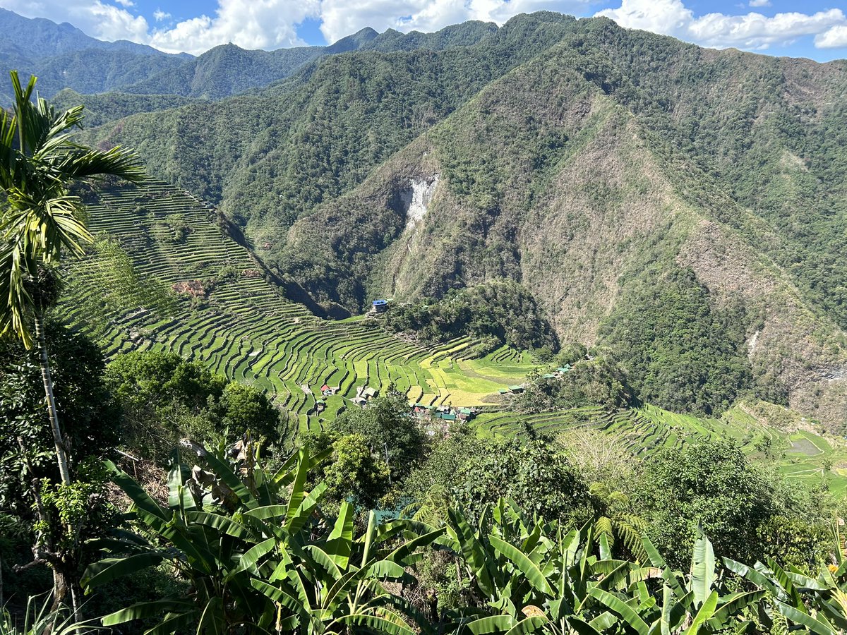 Hiking in Batad and admiring this UNESCO heritage site and its rice terraces. What an experience! Wonderful nature and great hospitality! #lovethephilippines