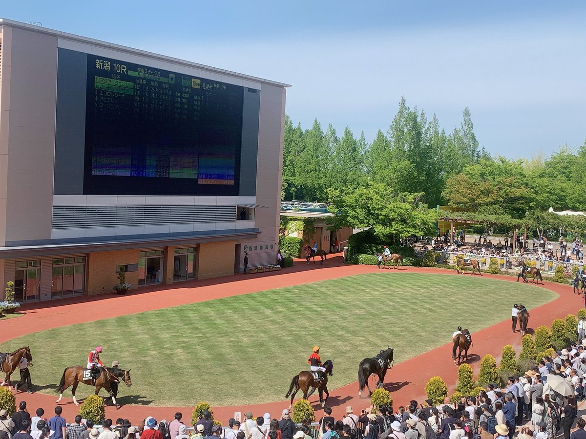 5億年ぶりに急遽きた！！！

新潟競馬場〜〜〜！！！！

(どっちかというと馬ではなく佐々木蔵之介さまを拝みに笑)