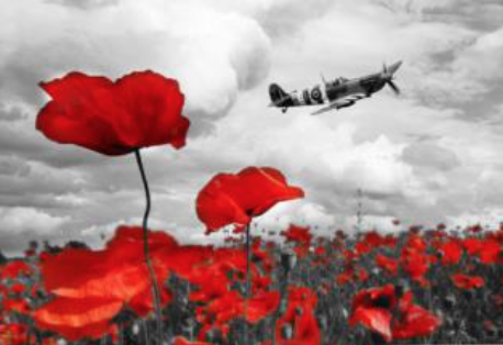 Lost his life this day 5th May 1941.

Sgt. Reginald James Parrott.
One of THE FEW.
bbm.org.uk/airmen/Parrott…

He was killed in his Hurricane when he was shot down by an intruder whilst landing at Duxford.
Age 25.