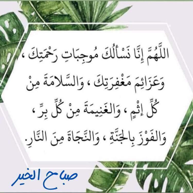 نسأل الله عزوجل استجابة الدعاء لنا جميع #صباح_الخير_والسعاده_للجميع #طوفان_الأقصى #درنة #ادلب_تحت_القصف #الحوز