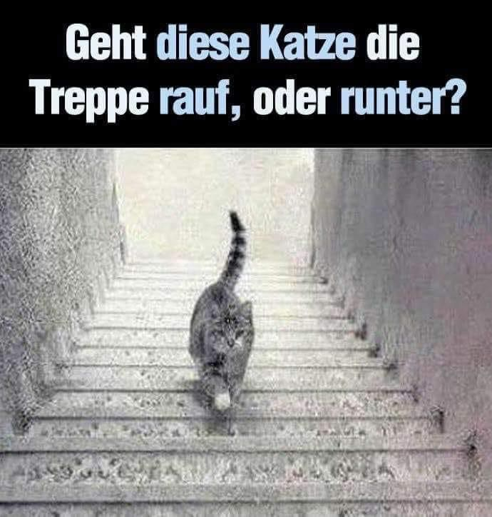 Zum Wachwerden....😸